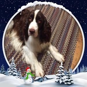 Meet your Posher, Arlene